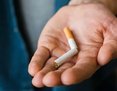 Miniatura: Palenie zabija – nie tylko płuca.  Każdy...