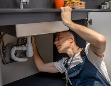 Miniatura: Wylewali olej do zlewu. Pod miastem urósł...