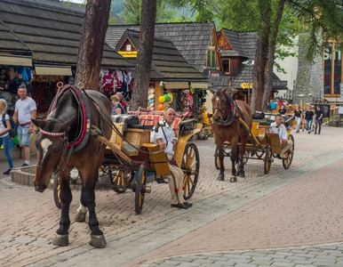 Miniatura: Rekordzista musi oddać 4 mln zł. Kłopoty...