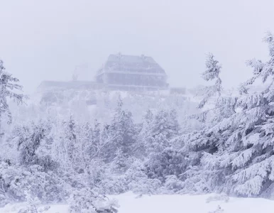 Miniatura: Ostrzeżenia przed silnym mrozem obejmą pół...