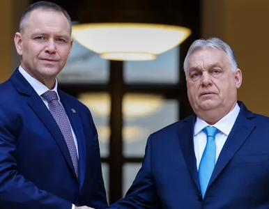 Miniatura: Spotkanie Nawrockiego z Orbanem. Polityk z...