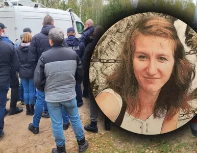 Miniatura: Zaginięcie Jowity Zielińskiej. Wyznaczono...