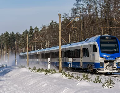 Miniatura: Dramatyczne sceny w Krakowie. To kolejna...