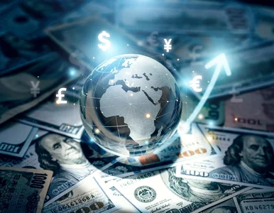 Miniatura: Kursy walut 12 listopada 2025. Po ile...