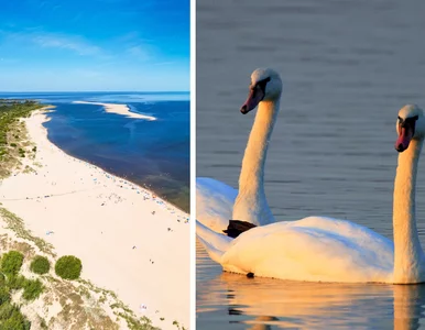 Miniatura: Ta wioska nad Bałtykiem niedawno „urosła”....