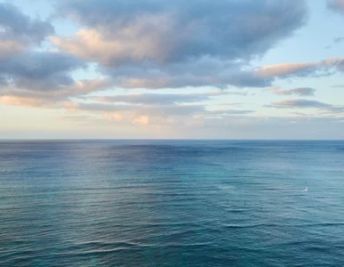 Miniatura: Nowe alarmujące badania. 96 proc. oceanów...