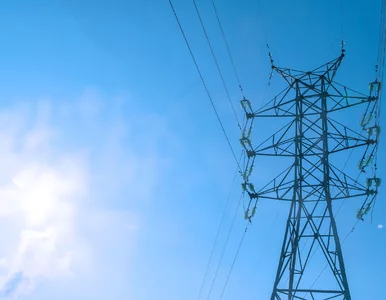 Miniatura: Masz słupy na działce? Możesz dostać nawet...