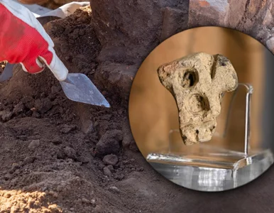 Miniatura: Budowali autostradę, trafili na tajemniczy...