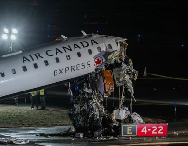 Miniatura: Świadkowie o zderzeniu na lotnisku w USA....