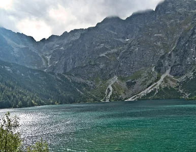 Miniatura: Wycieczki w Tatry będą droższe. Poznaliśmy...