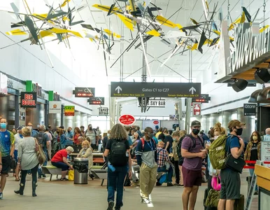 Miniatura: To idealne wieści dla turystów. Lotniska w...