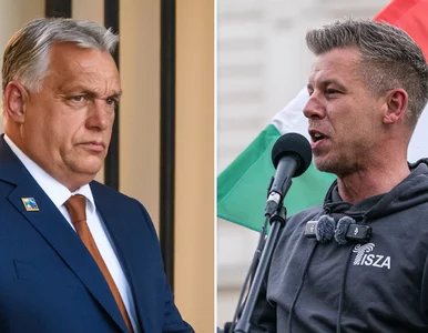 Miniatura: Zdążyli „politycznie pogrzebać” Orbána....