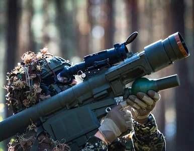 Miniatura: Polska broń hitem eksportowym. Pioruny...