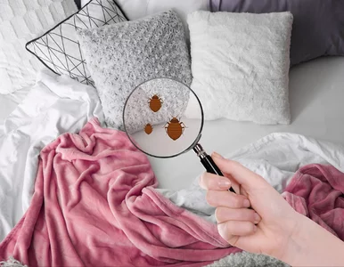 Miniatura: Już nie soda oczyszczona! Ten proszek jest...