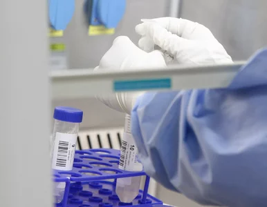 Miniatura: Podwójna immunoterapia nagrodzona. Pomaga...