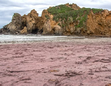 Miniatura: Tutaj zobaczysz fioletową plażę. Raz...