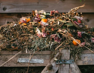 Miniatura: Gdy kompostownik pęka w szwach – sposoby...