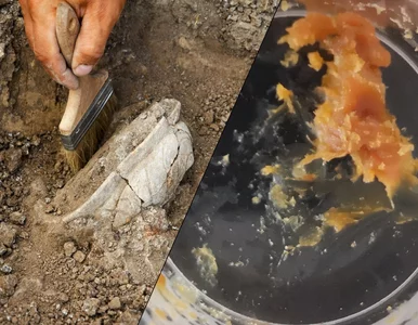 Miniatura: Starożytny dzban skrywał tajemniczą, lepką...