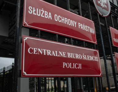 Miniatura: Zatrzymano 24 osoby. Nielegalnie...