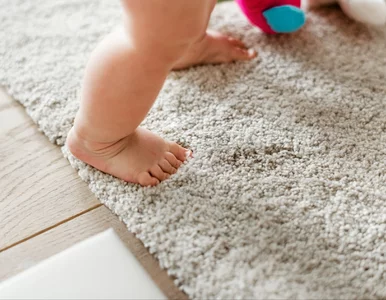 Miniatura: Posyp dywan tym proszkiem i odkurz po pół...