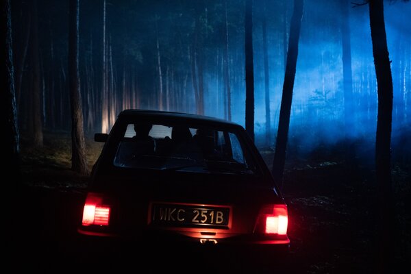 Miniatura: „W głębi lasu” – nowy polski serial Netfliksa