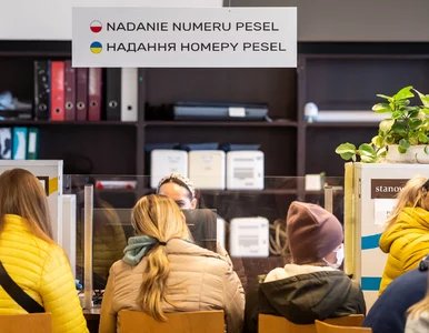 Miniatura: Wzrost antyukraińskich nastrojów w Polsce?...