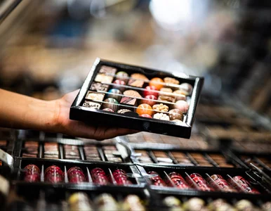 Miniatura: Karmello Chocolatier – świat czekolady,...