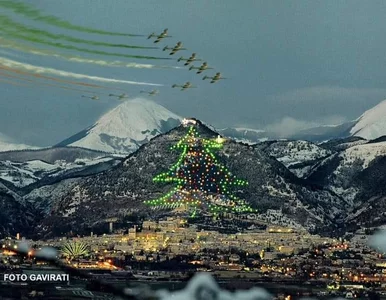 Miniatura: Największa na świecie choinka już świeci....