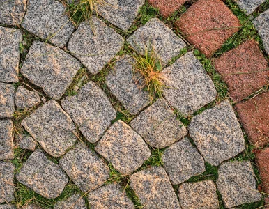 Miniatura: Chwasty wychodzą z każdej szczeliny. Zanim...