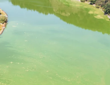 Miniatura: Czerwone flagi przy 12 kąpieliskach. Na...