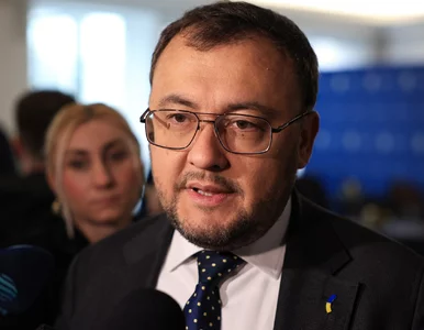 Miniatura: Te słowa ambasadora Ukrainy o Polsce...