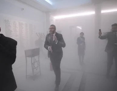 Miniatura: Szarża Grzegorza Brauna. „Wyborcy będą się...