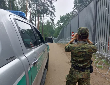 Miniatura: Migranci zaatakowali strażników przy...