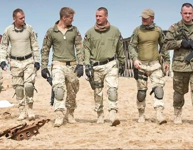 Miniatura: Po latach wraca jeden z najmocniejszych...