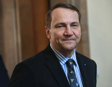 Miniatura: Kaczyński grzmiał na granicy. Sikorski:...