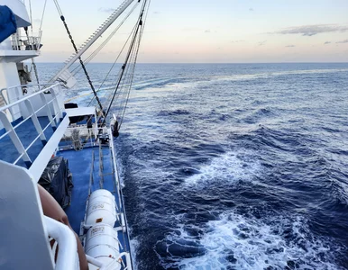 Miniatura: Rekordowy połów. Rybacy nie dowierzali...