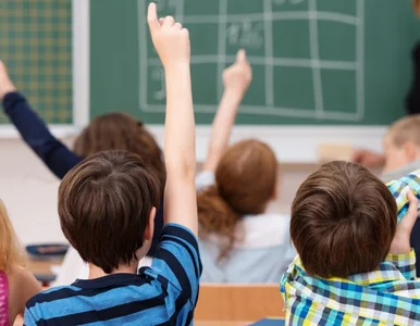 Miniatura: Ten kraj chce zatrudnić polskich...