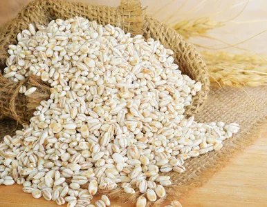 Miniatura: Pamiętasz tę kaszę? Naukowcy: to polski...