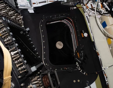 Miniatura: Nie tylko pobity rekord. Oto pięć...