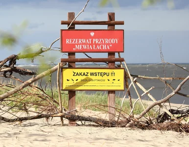 Miniatura: Mieszkańcy i turyści boją się tych zmian...