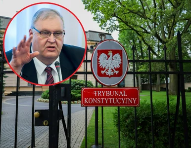 Miniatura: Wrze ws. wariantu siłowego w Trybunale....