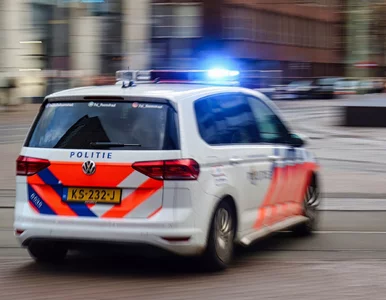 Miniatura: Wstrząsająca śmierć holenderskiego...