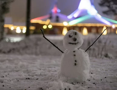 Miniatura: Prognoza na Święta Bożego Narodzenia....