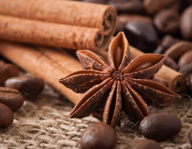 Miniatura: Eksperci nie mają wątpliwości: ta...