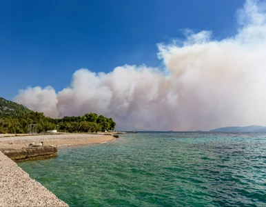 Miniatura: Ważny komunikat Ambasady Polski w...