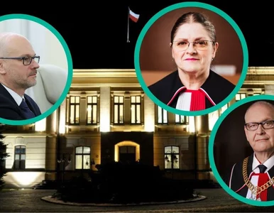 Miniatura: Polityczne transfery do Trybunału...