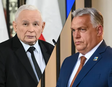 Miniatura: Orban spotka się z Kaczyńskim? Rzecznik...
