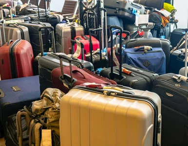 Miniatura: Linia lotnicza wypłaci Polakom pieniądze....