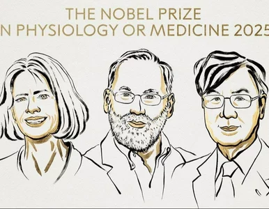 Miniatura: Nagroda Nobla 2025 w dziedzinie medycyny....