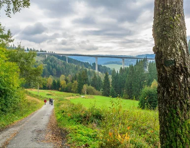 Miniatura: Piękne polskie schronisko powróci....